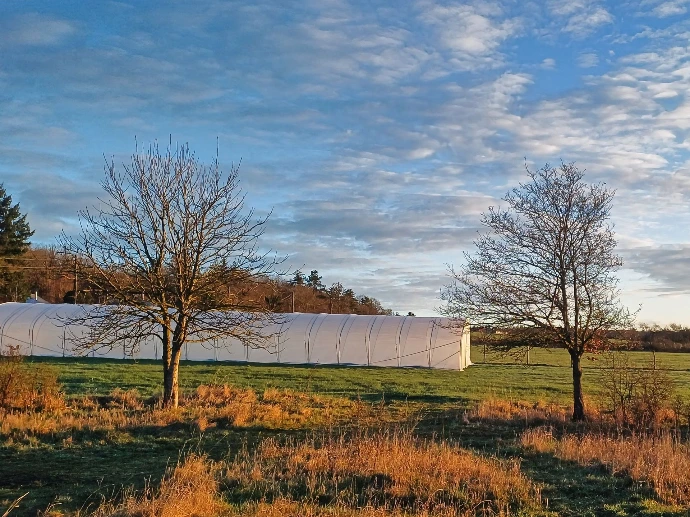 Serre du Champ Serein à Serinchamp