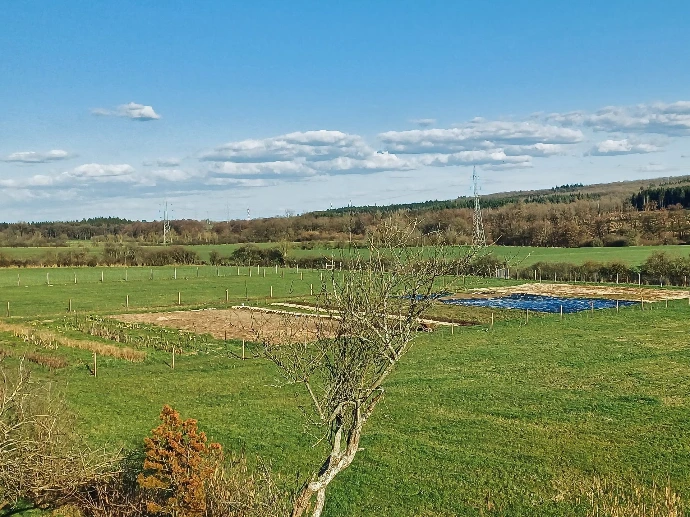 Champs culture du Champ Serein