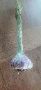 1000026380.webp
