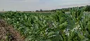 20260601_204013.webp