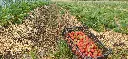 20260530_070806.webp