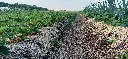 20260601_205001.webp