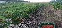 20260601_214816.webp