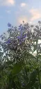 20260702_211537.webp