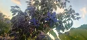 20260702_211521.webp