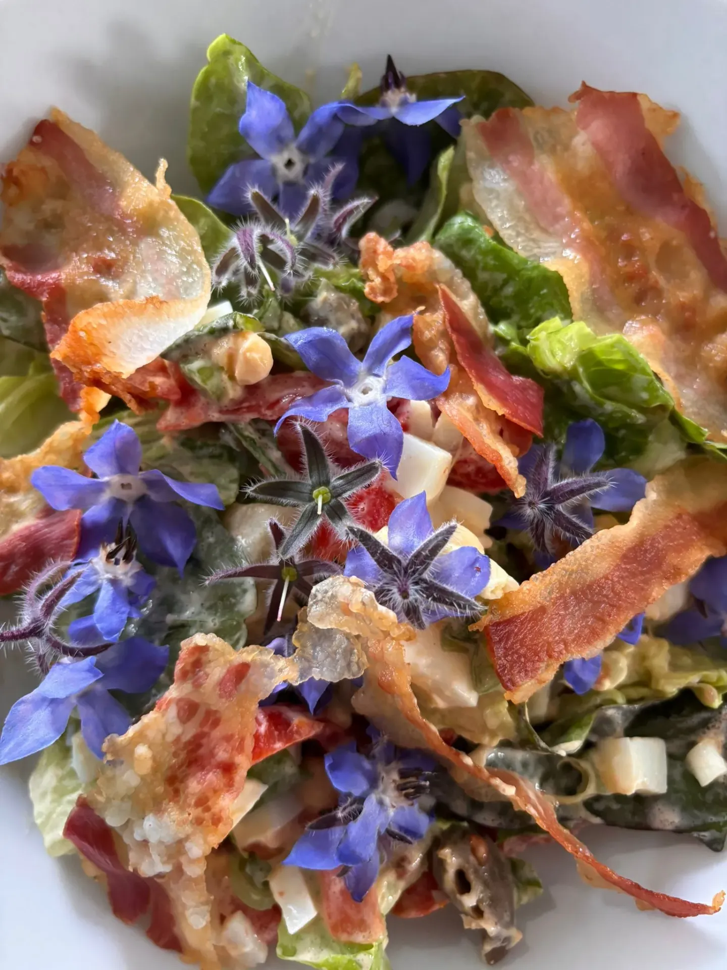 Fleurs de Bourrache (+ou-25 fleurs)