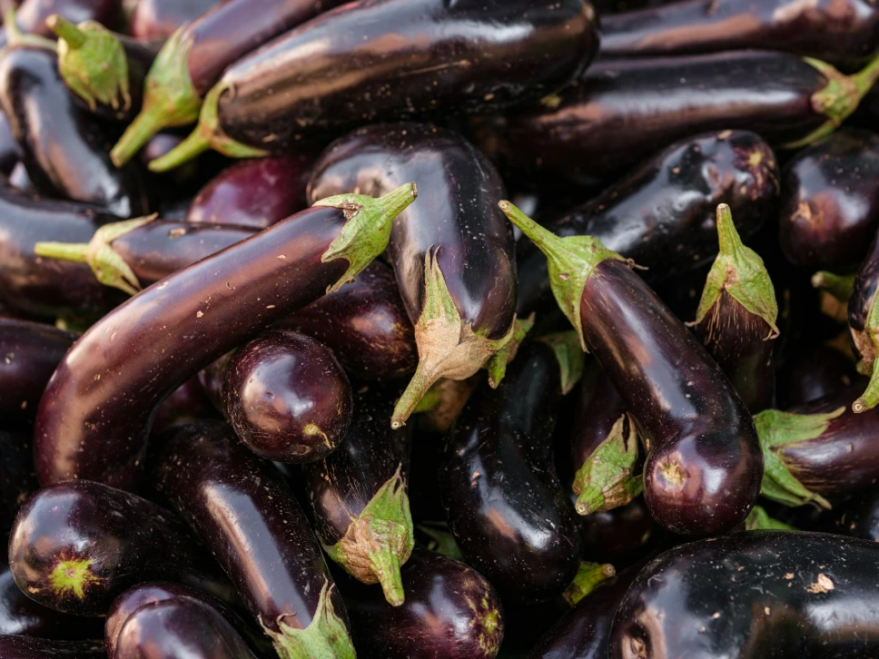Aubergine (+/- 250g pièce)