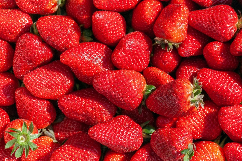 Fraises (+/-500g)