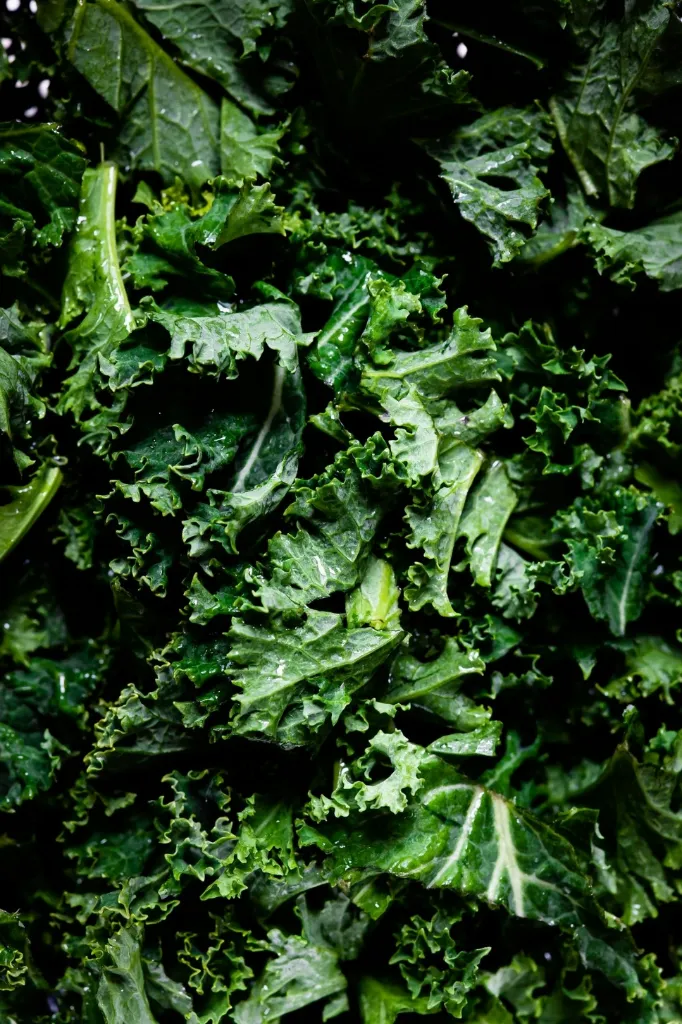 Chou Kale (+/-500g)